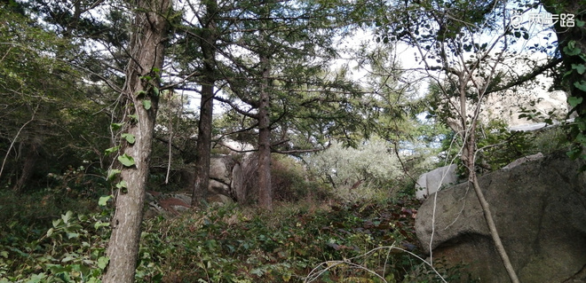 敬畏自然-致敬即将到来的LS100-中段赛道体验