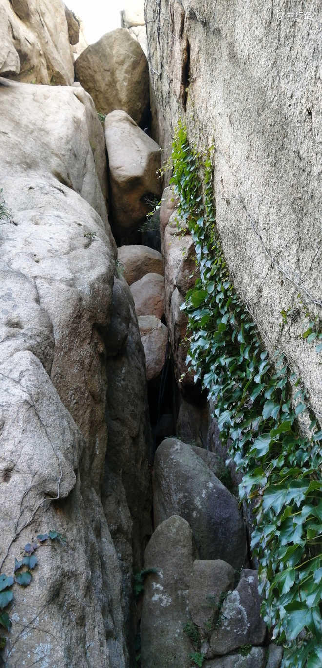 致敬UTMB-崂山小环线徒步