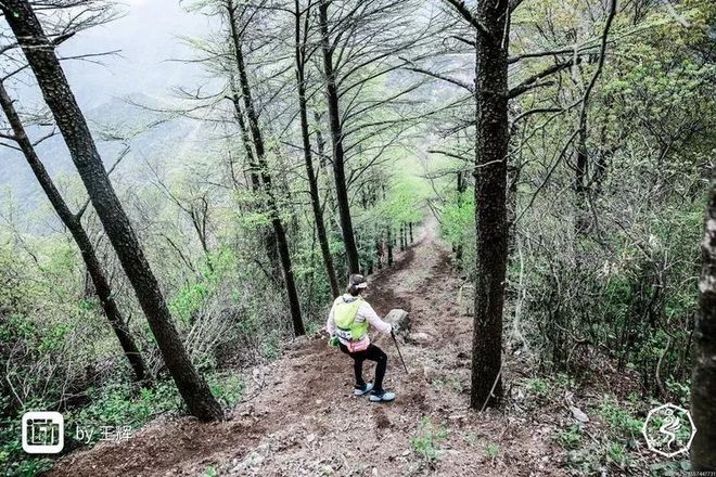 我在江南樱花季，遇见最勇敢的自己——记首百四明山110km越野赛
