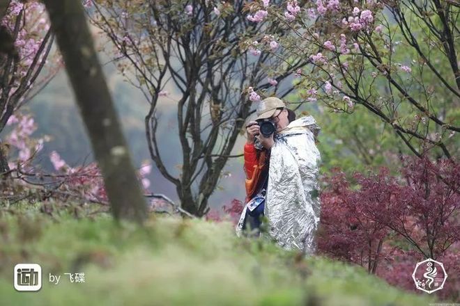 我在江南樱花季，遇见最勇敢的自己——记首百四明山110km越野赛