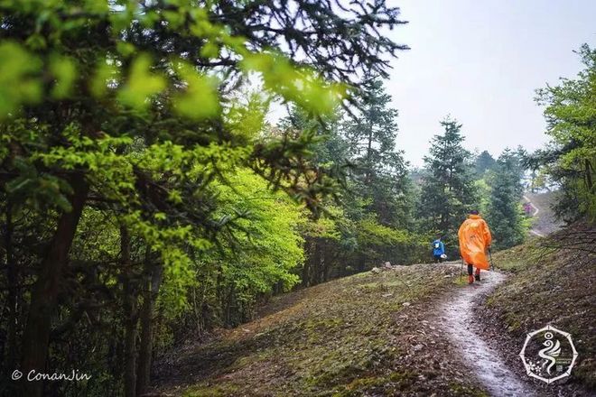 我在江南樱花季，遇见最勇敢的自己——记首百四明山110km越野赛