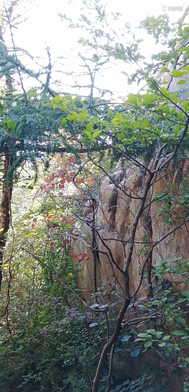 致敬UTMB-崂山小环线徒步