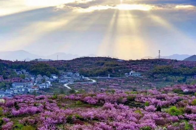 我在江南樱花季，遇见最勇敢的自己——记首百四明山110km越野赛