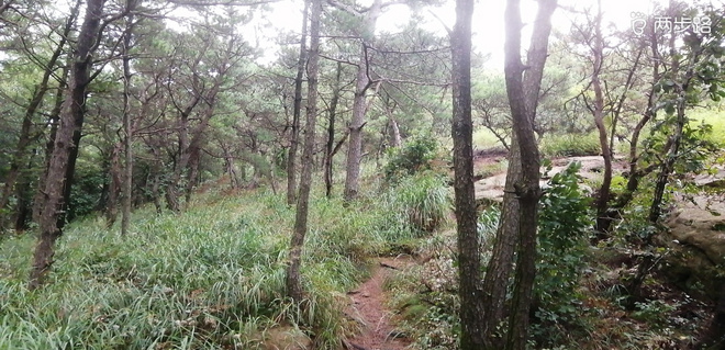 致敬UTMB,呐喊天柱山越野-190907~LS100-50二次试跑完成