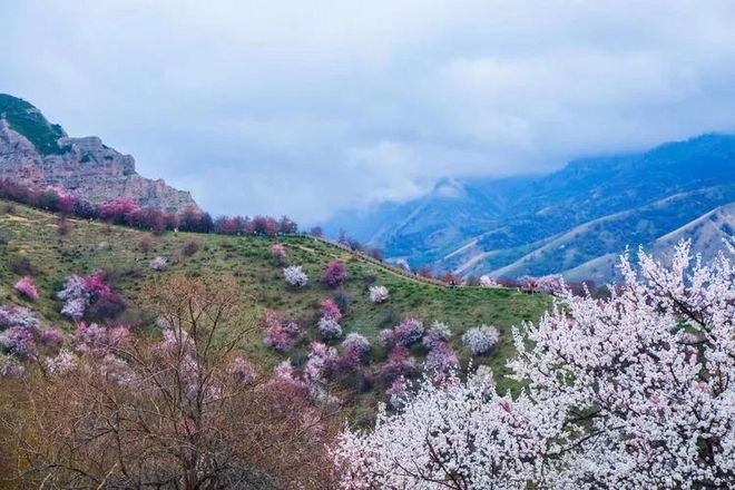 我在江南樱花季，遇见最勇敢的自己——记首百四明山110km越野赛