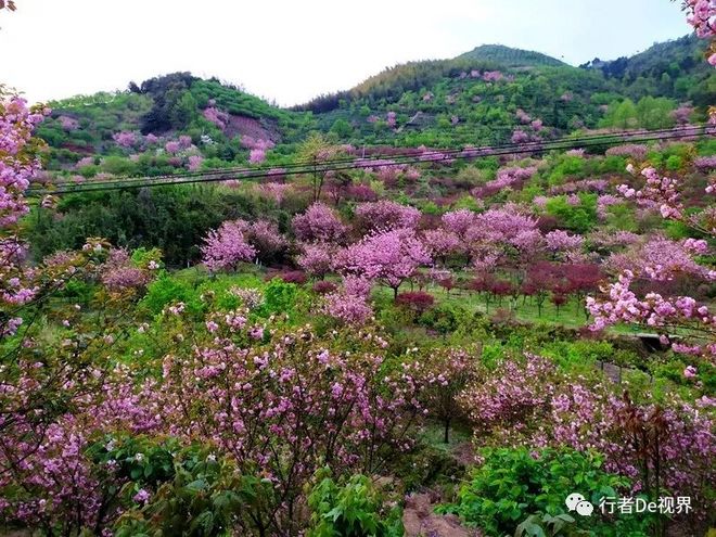 江南百英里·最美的遇见