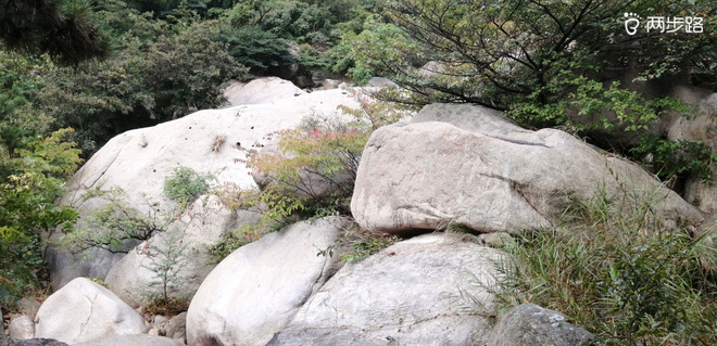 致敬UTMB,呐喊天柱山越野-190907~LS100-50二次试跑完成
