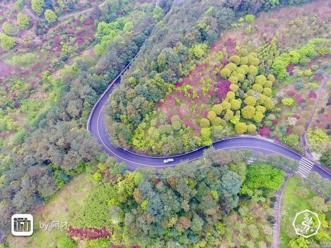 我在江南樱花季，遇见最勇敢的自己——记首百四明山110km越野赛