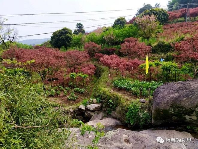 江南百英里·最美的遇见