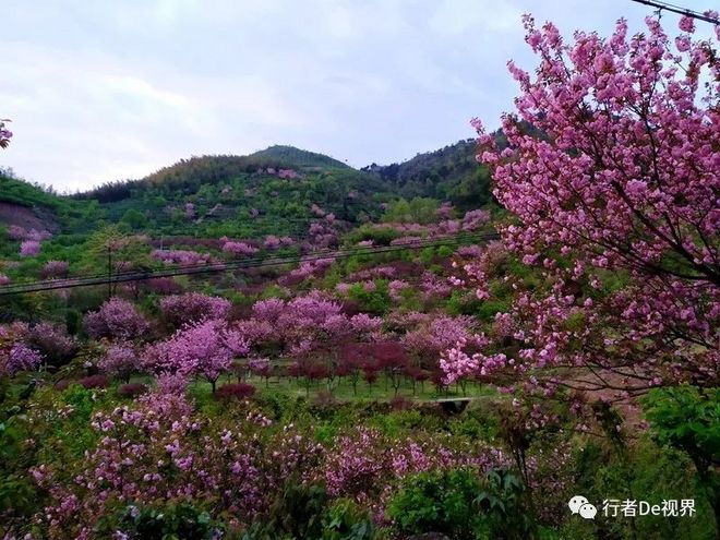 江南百英里·最美的遇见