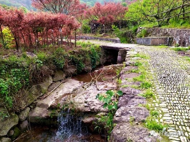 江南百英里·最美的遇见