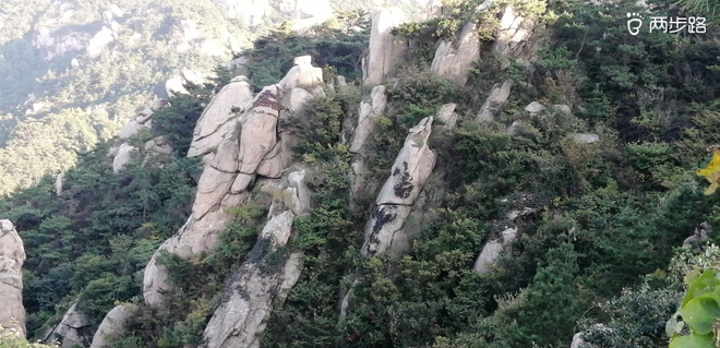 敬畏自然-致敬即将到来的LS100-中段赛道体验