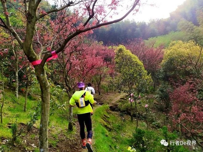 江南百英里·最美的遇见