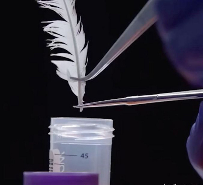 你会吃人造肉吗？