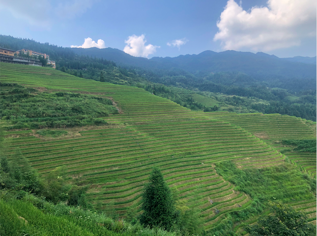 越过山丘，有人等候|记2019龙脊百公里跑山赛