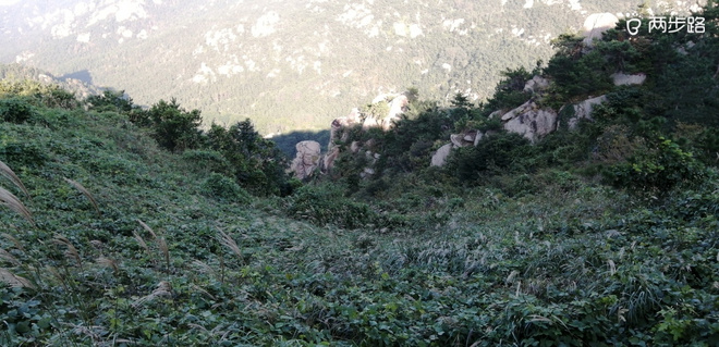 敬畏自然-致敬即将到来的LS100-中段赛道体验