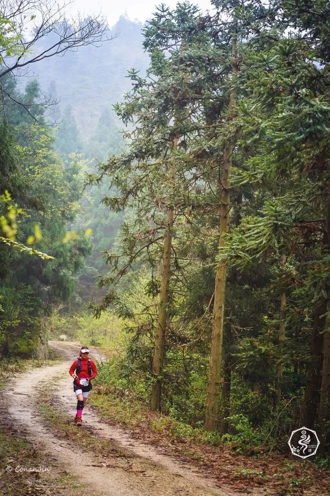 我在江南樱花季，遇见最勇敢的自己——记首百四明山110km越野赛