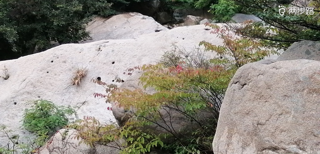 致敬UTMB,呐喊天柱山越野-190907~LS100-50二次试跑完成
