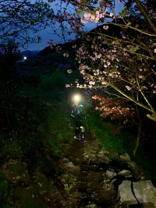 我在江南樱花季，遇见最勇敢的自己——记首百四明山110km越野赛