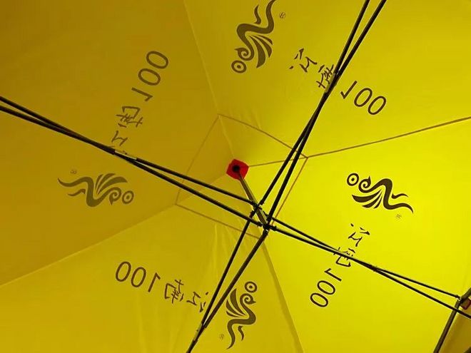 我在江南樱花季，遇见最勇敢的自己——记首百四明山110km越野赛