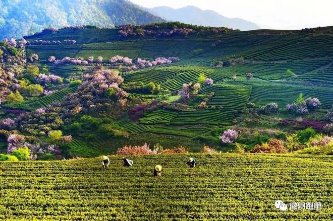 →江南100← 遇见自己