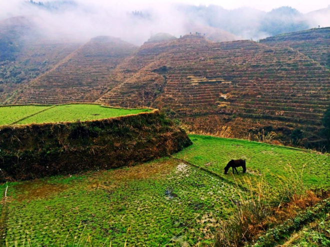 越过山丘，有人等候|记2019龙脊百公里跑山赛