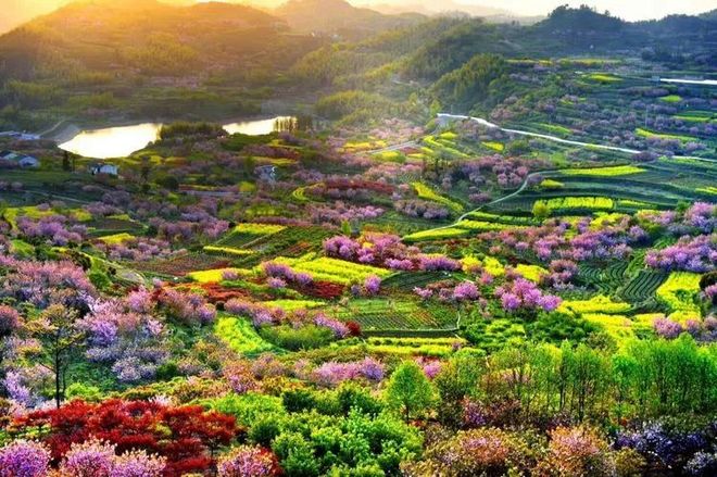 我在江南樱花季，遇见最勇敢的自己——记首百四明山110km越野赛