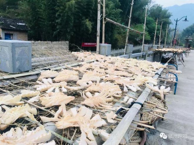 →江南100← 遇见自己