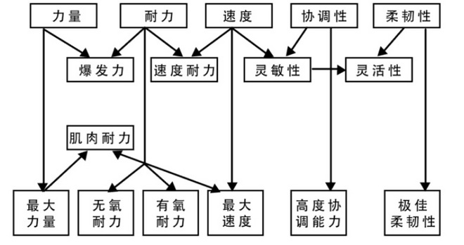 你听说过运动素质转移吗？