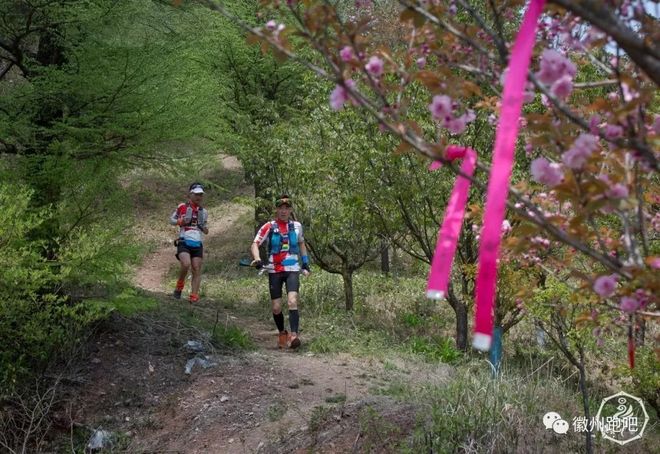 →江南100← 遇见自己