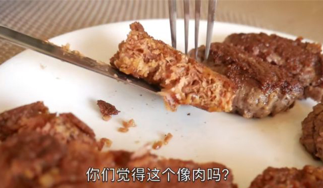 你会吃人造肉吗？
