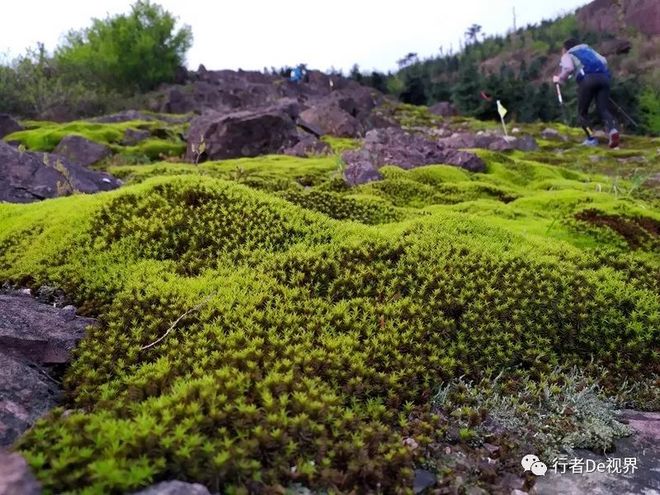 江南百英里·最美的遇见