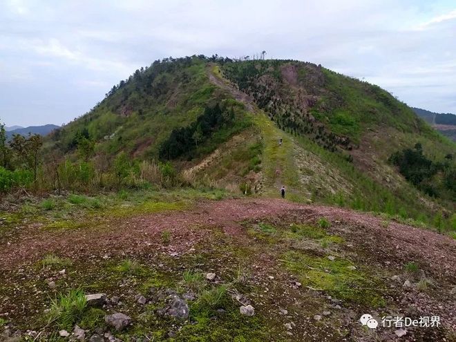 江南百英里·最美的遇见