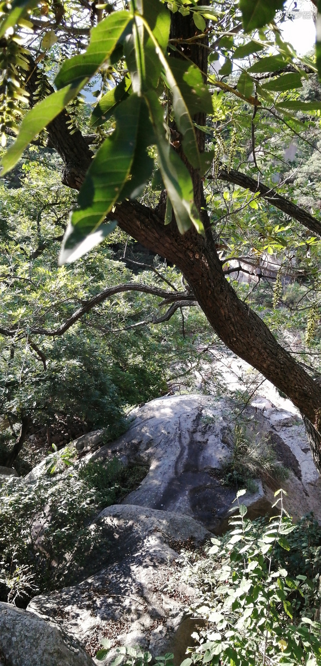 致敬UTMB-崂山小环线徒步