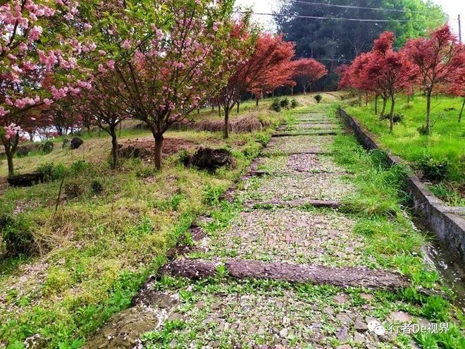 江南百英里·最美的遇见