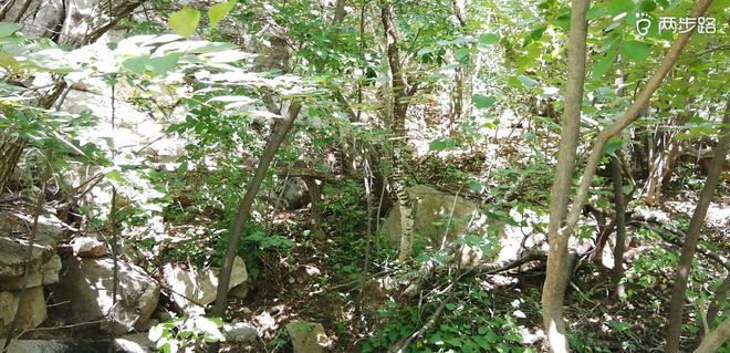 致敬UTMB-崂山小环线徒步