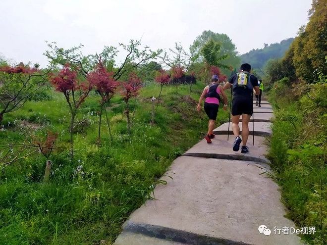 江南百英里·最美的遇见