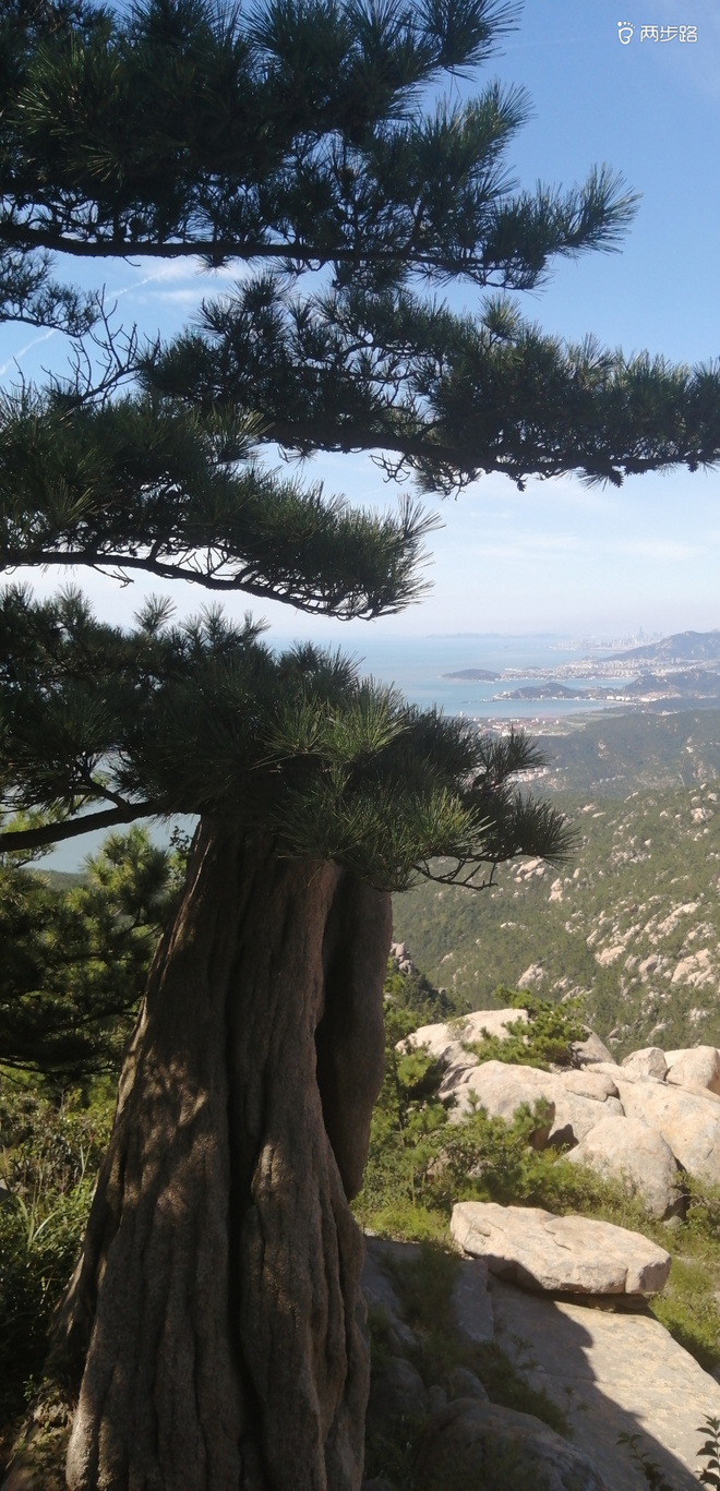 致敬UTMB-崂山小环线徒步