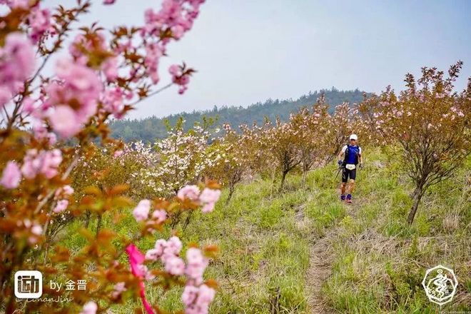 我在江南樱花季，遇见最勇敢的自己——记首百四明山110km越野赛