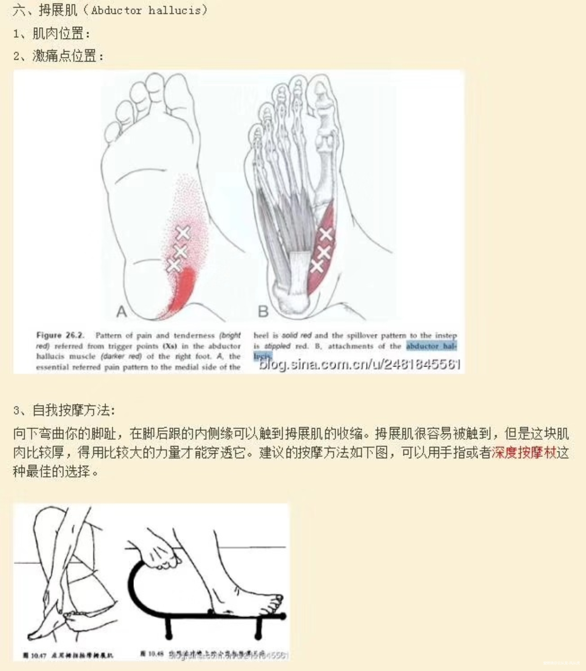 山峦在呼唤我，我必须往哪儿走！记2019百里杜鹃第三届越野跑挑战赛！
