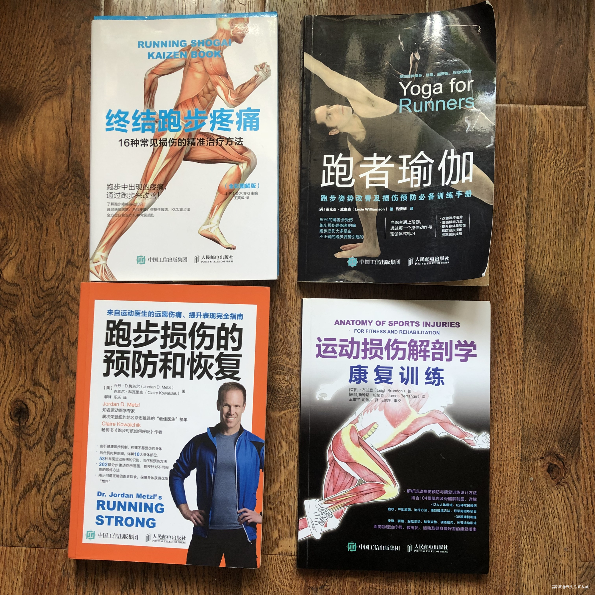 山峦在呼唤我，我必须往哪儿走！记2019百里杜鹃第三届越野跑挑战赛！