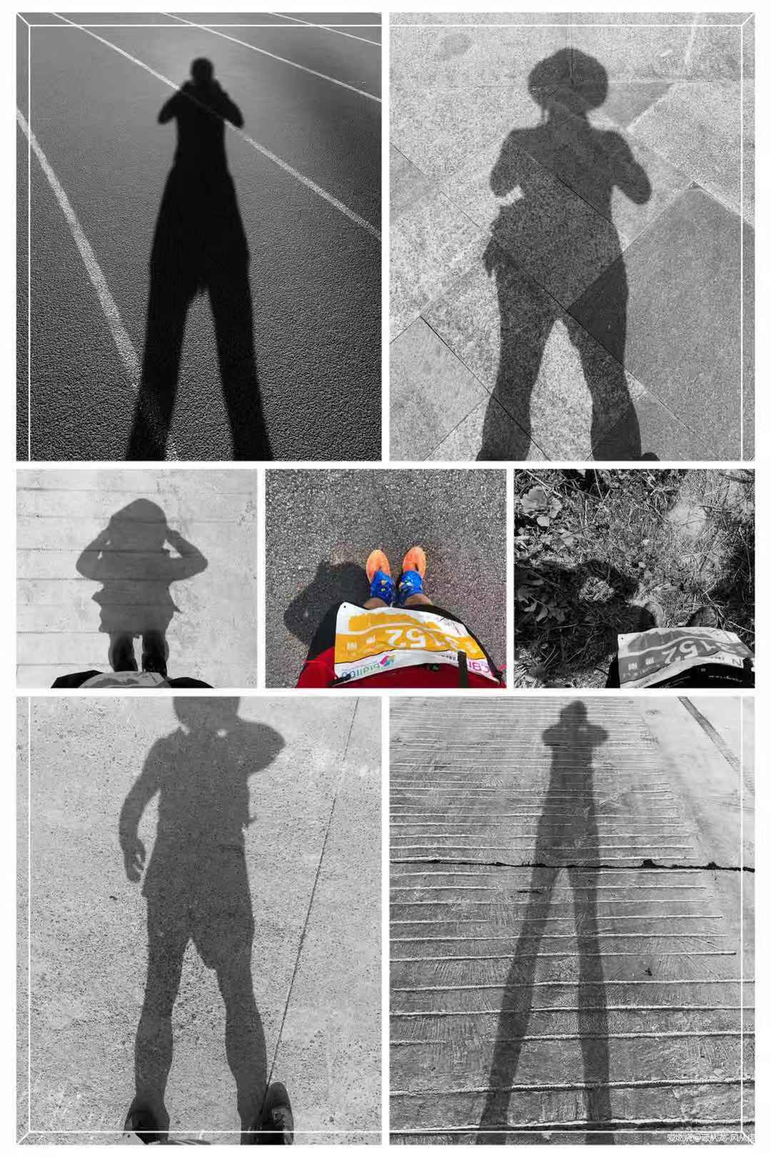 山峦在呼唤我，我必须往哪儿走！记2019百里杜鹃第三届越野跑挑战赛！