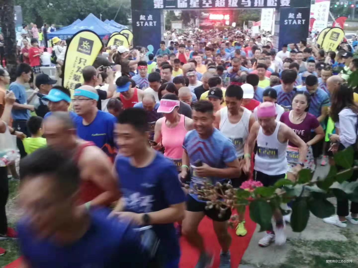 虐，爽！——2019连云港星空超马参赛体验