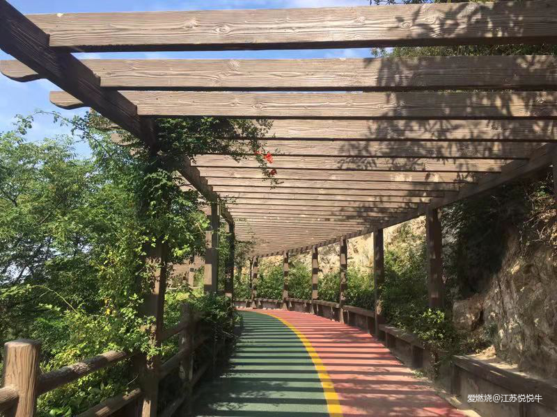 虐，爽！——2019连云港星空超马参赛体验