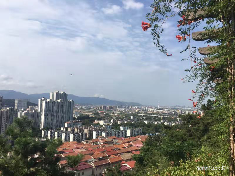 虐，爽！——2019连云港星空超马参赛体验