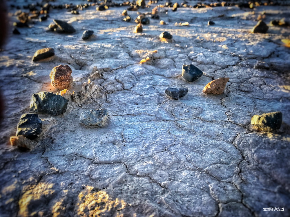 戈壁的星空下——2019八百流沙摄影记