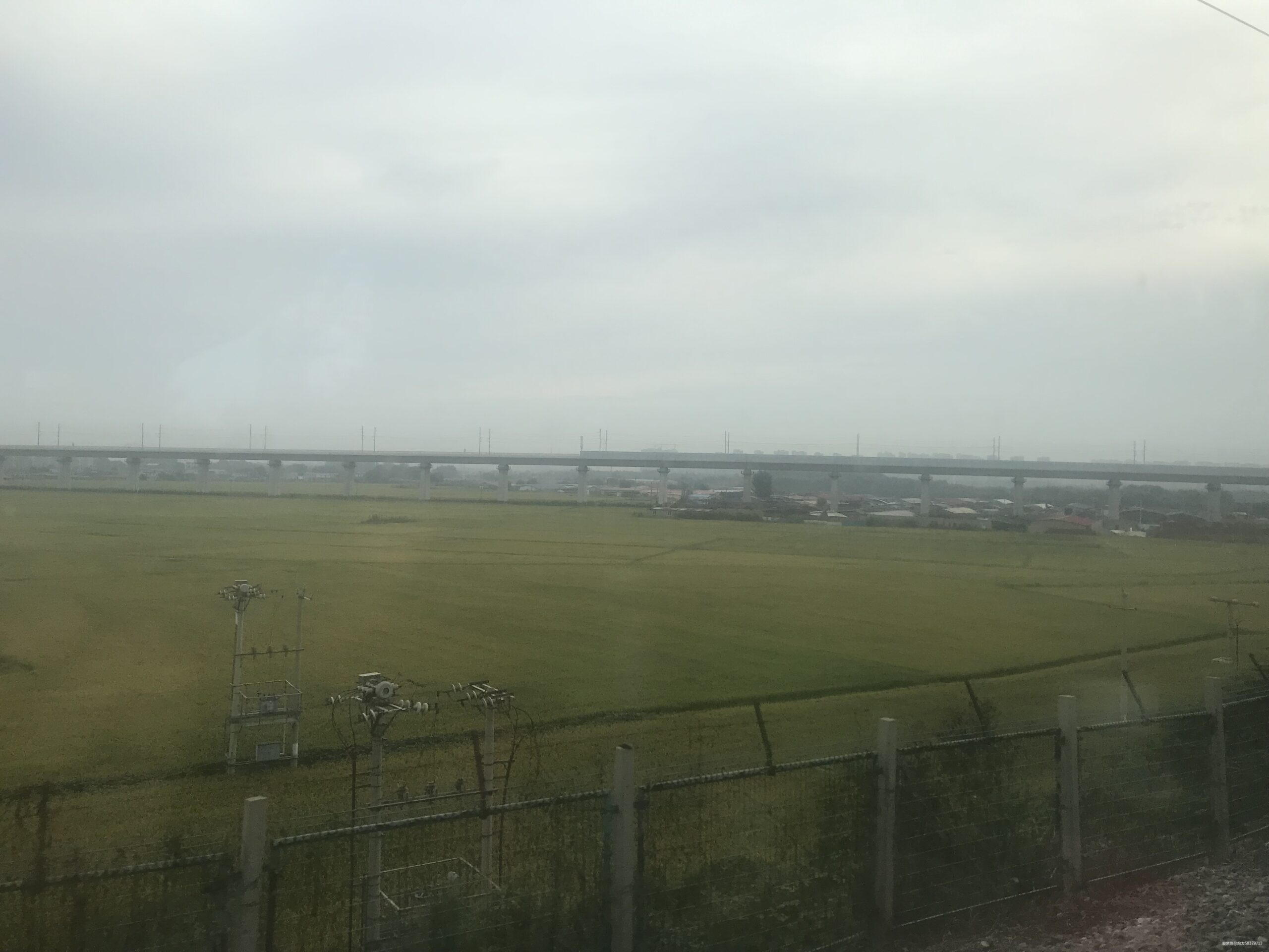 我的二马全纪录-2019沈阳马拉松