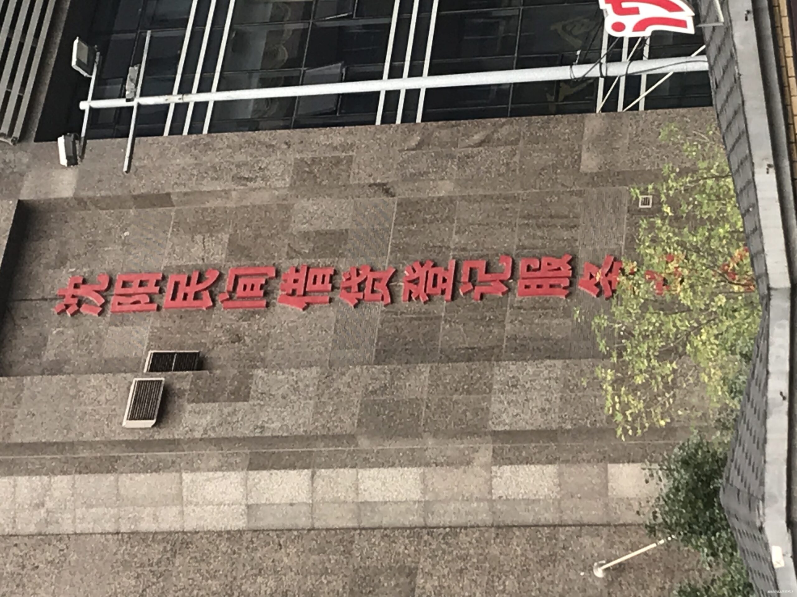 我的二马全纪录-2019沈阳马拉松