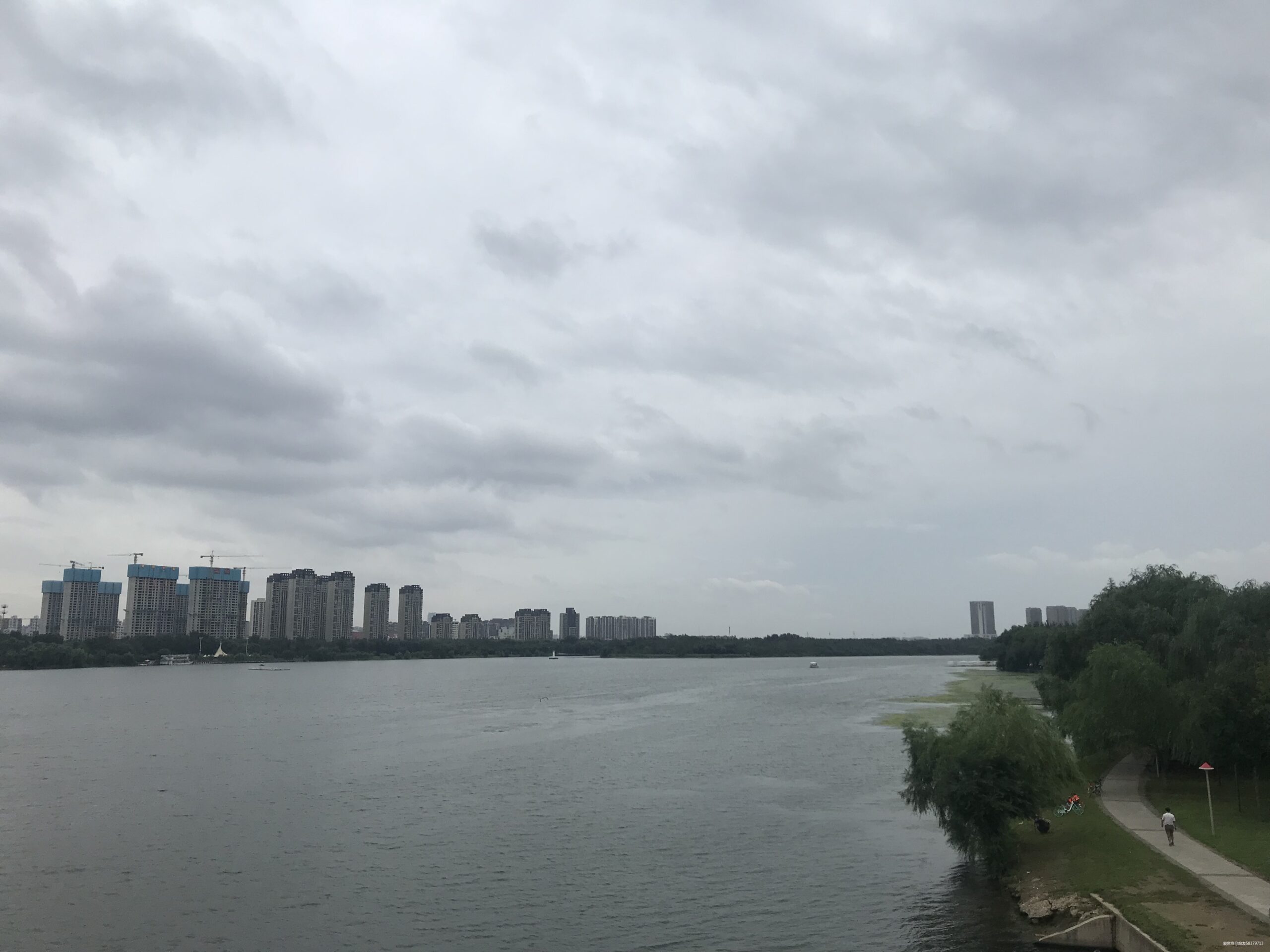 我的二马全纪录-2019沈阳马拉松