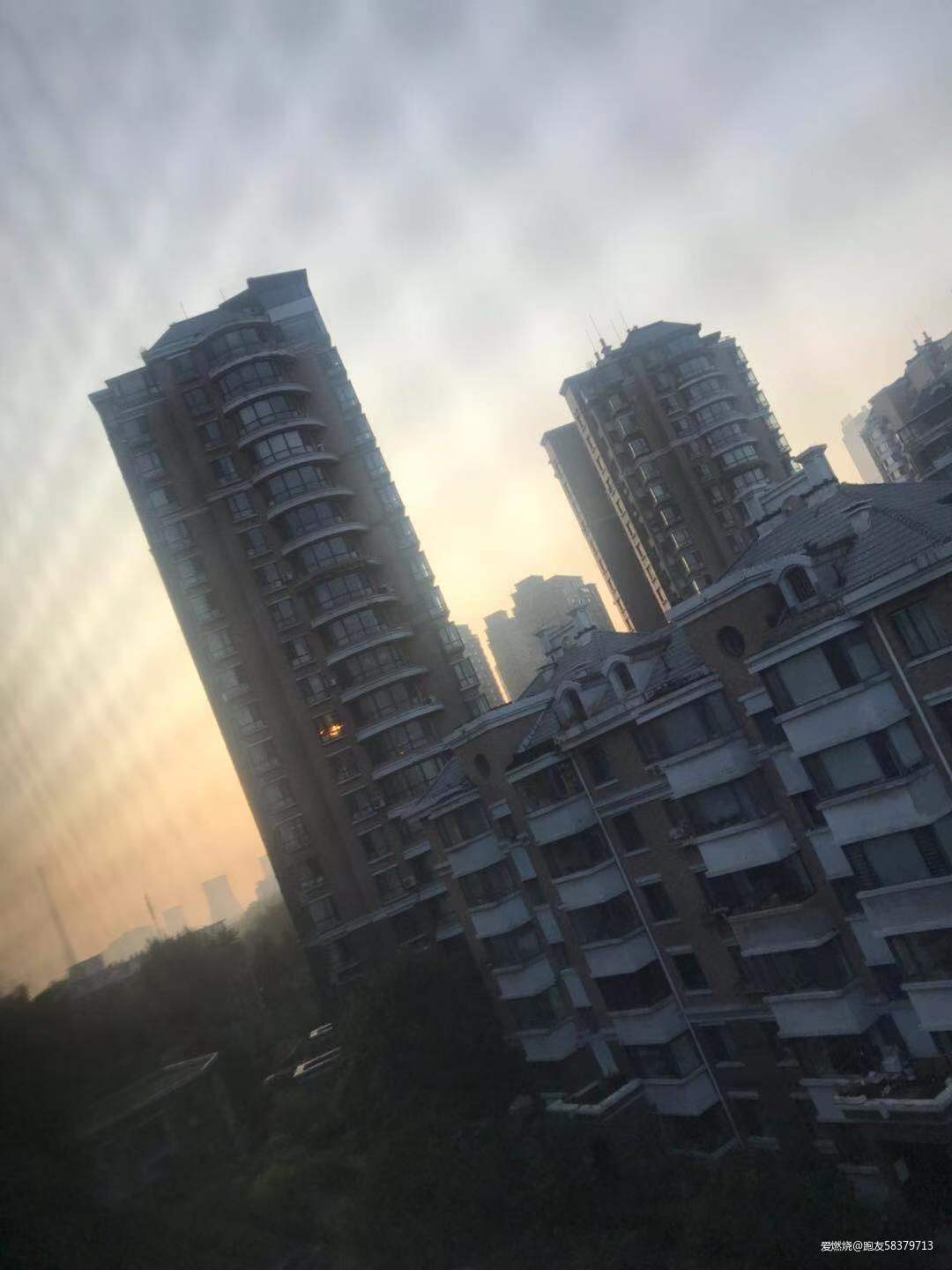 我的二马全纪录-2019沈阳马拉松